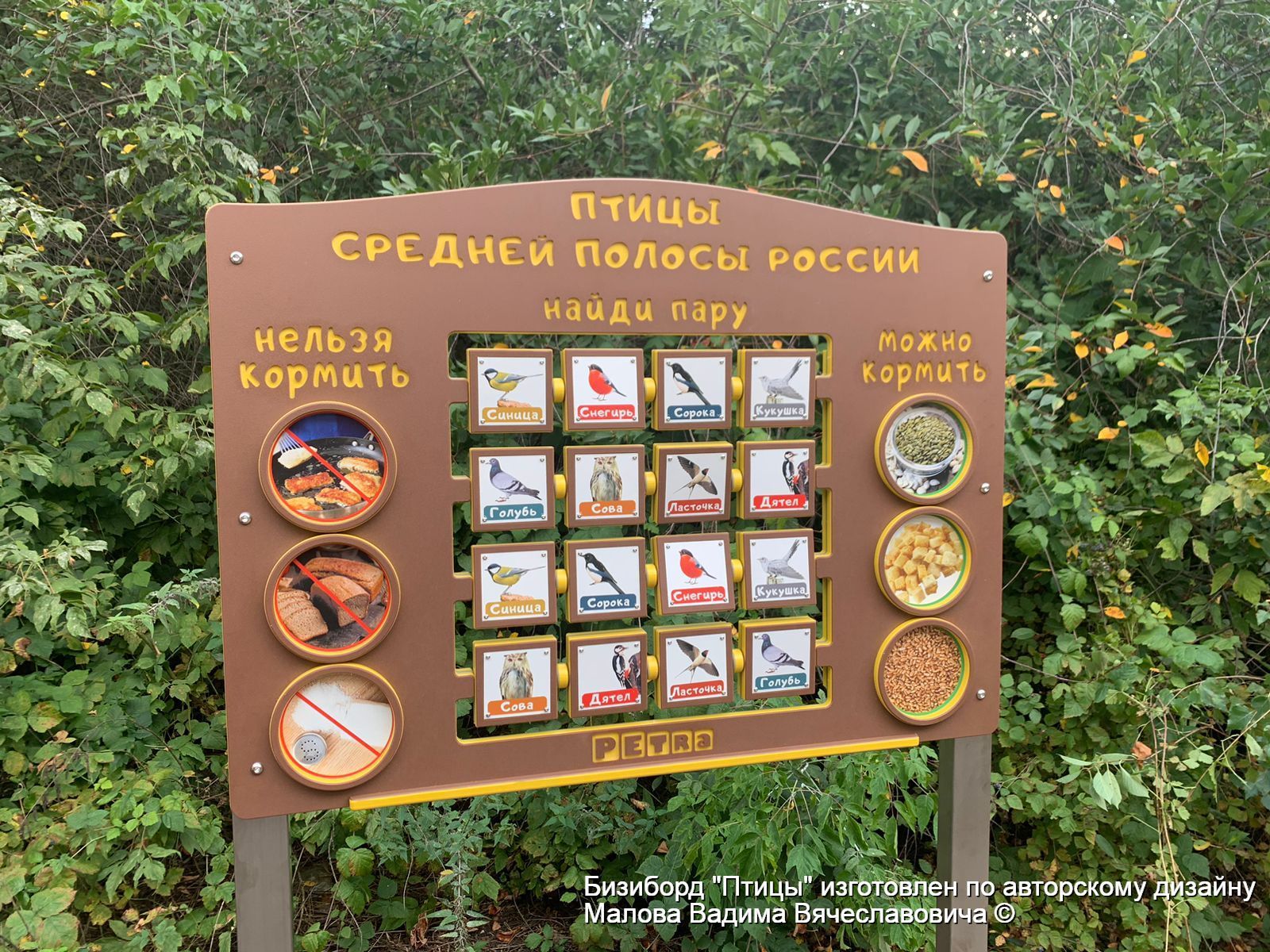 5.1 Птицы-14.09.2022